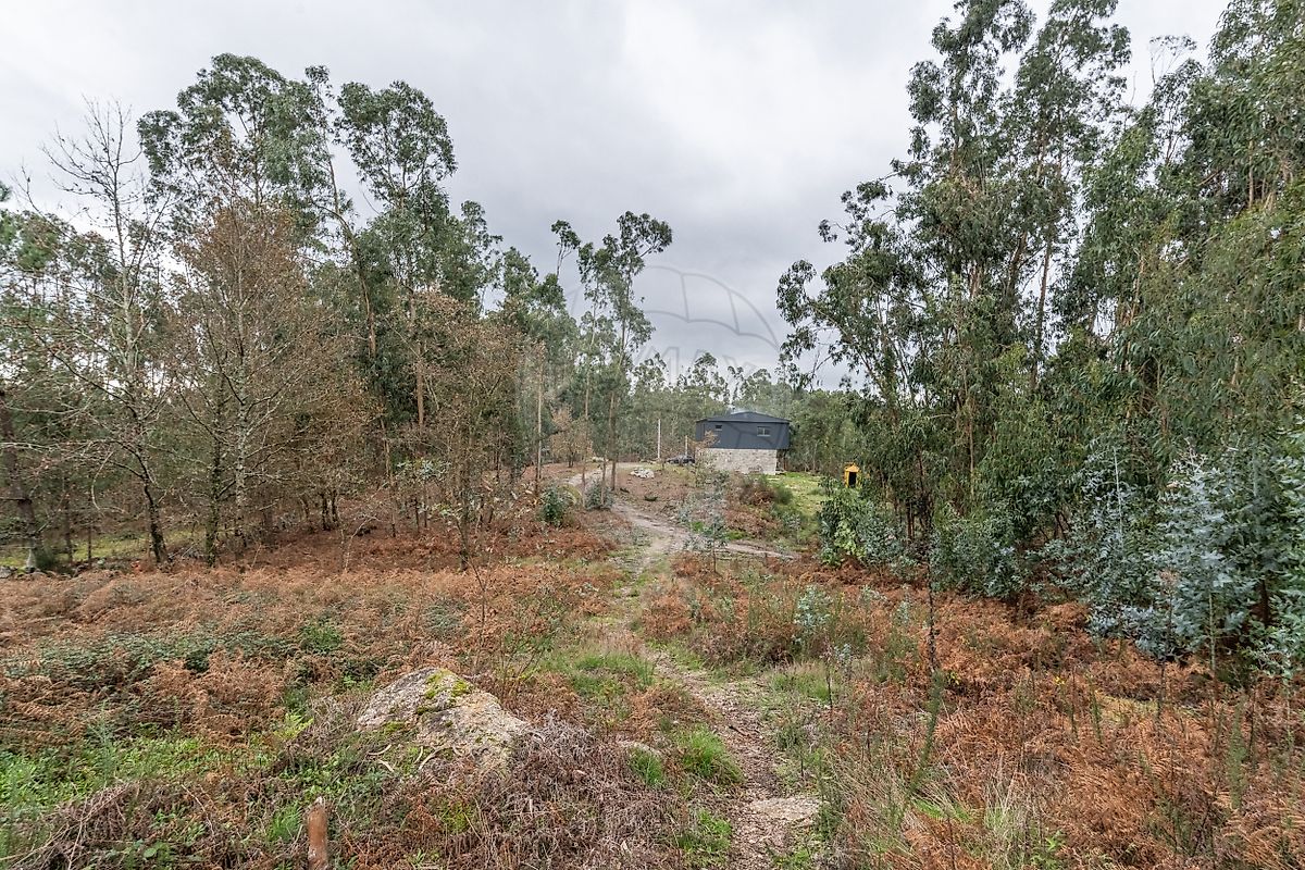 Vista geral da área de quintal e potencial para jardim ou piscina