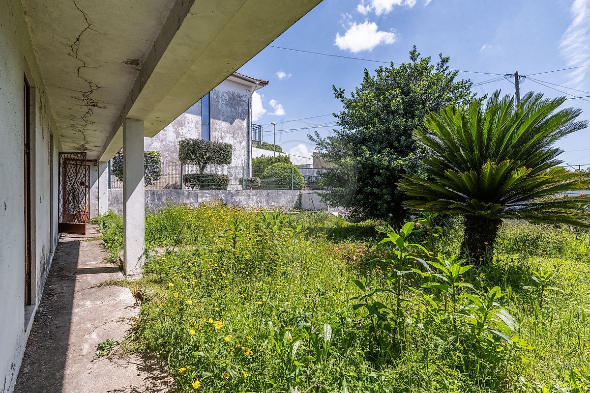 Zona de jardim privativo da moradia com árvores e excelente potencial paisagístico